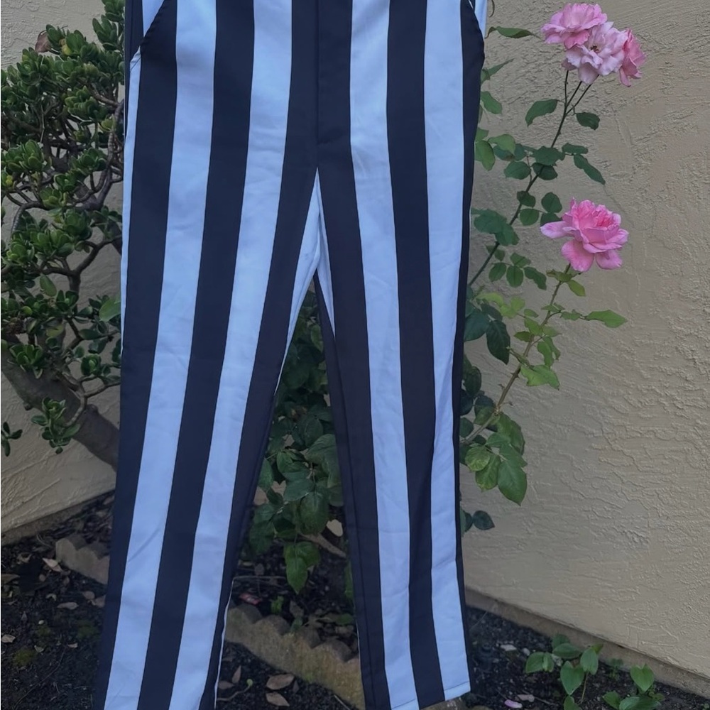 BeetleJuice’s Striped Black and White Pants
